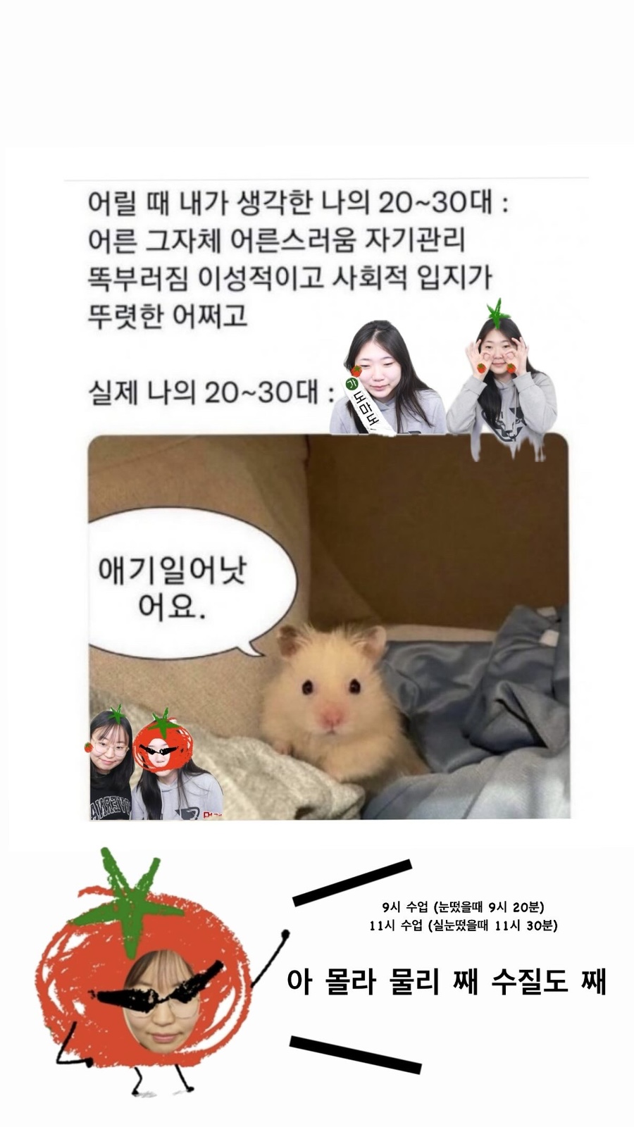 도마도마도 이미지