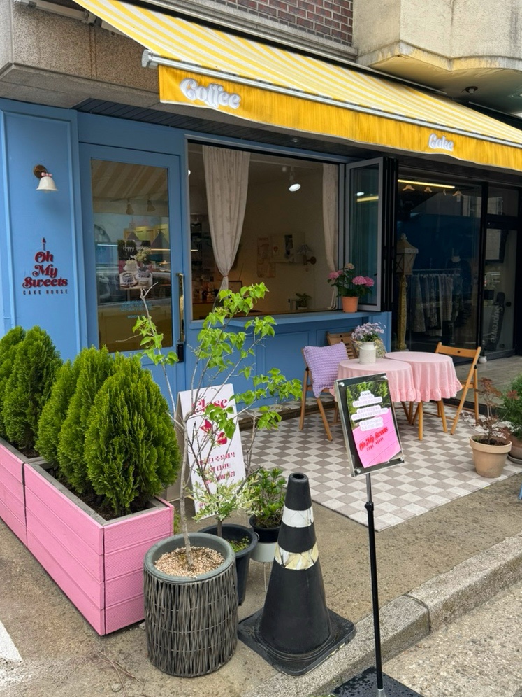 오마이스위츠 이미지
