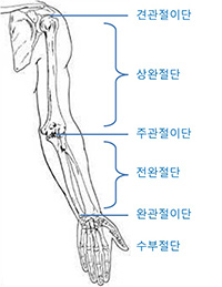 한국의지보조기학회 이미지