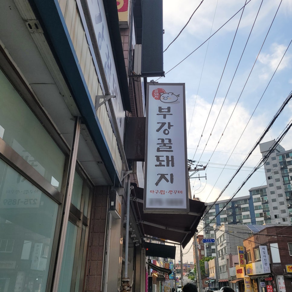 부강 꿀돼지 이미지