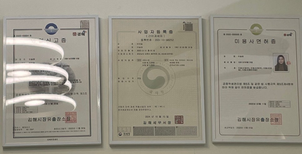 바이슬 이미지