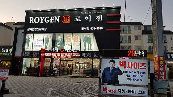 로이젠 이미지