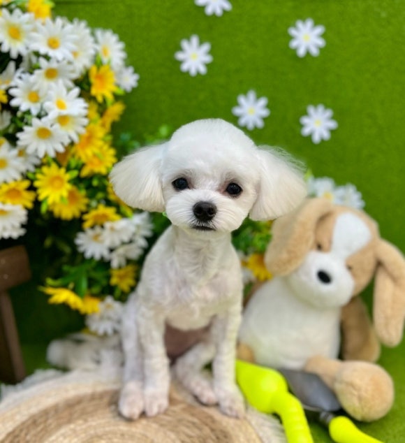 서울미용타운 이미지