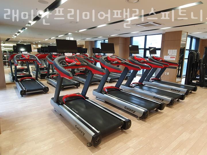 팰리스피트니스 이미지