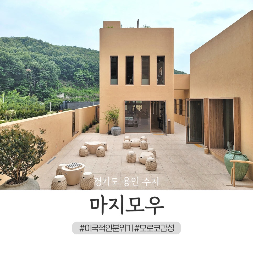 마지모우 이미지