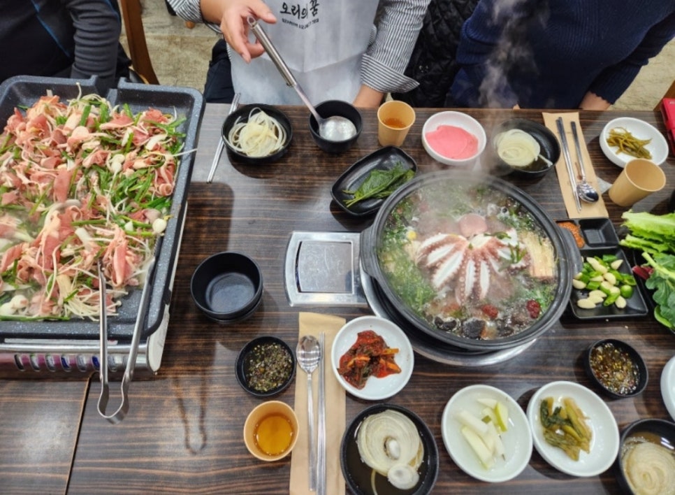 오리의 꿈 이미지