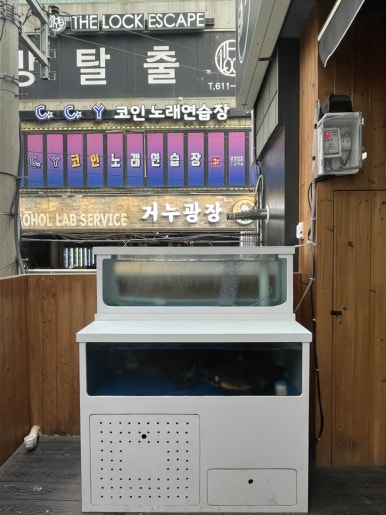 주월포차 이미지