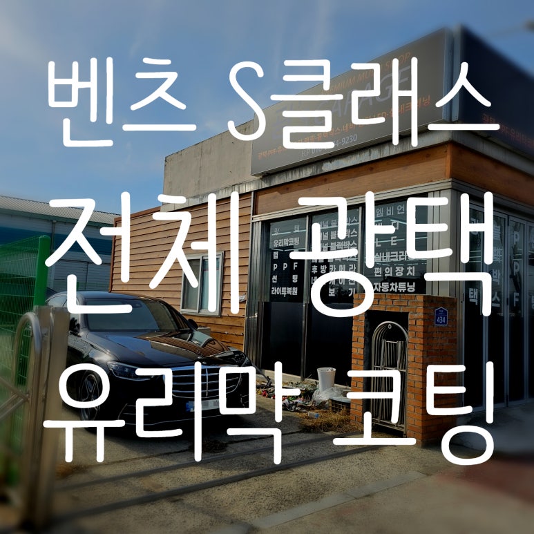 광쓰게러지 이미지