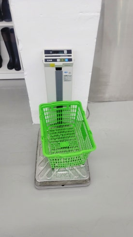 터구제샵 이미지