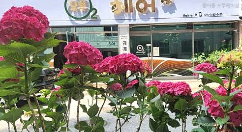 오투헤어샵 이미지