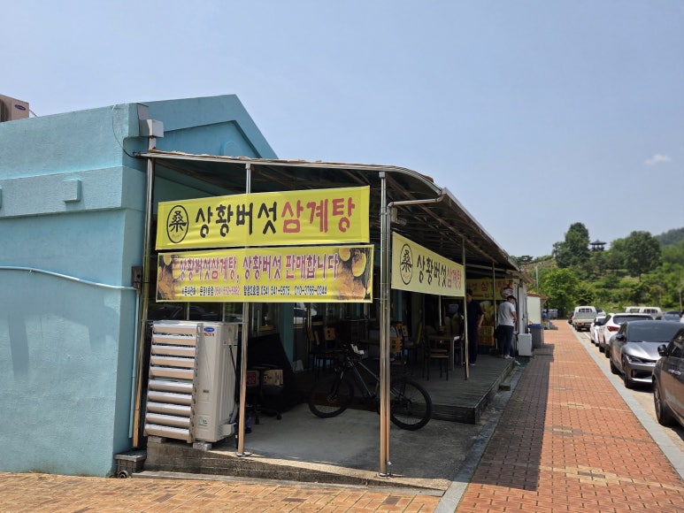 명자네 생물 이미지