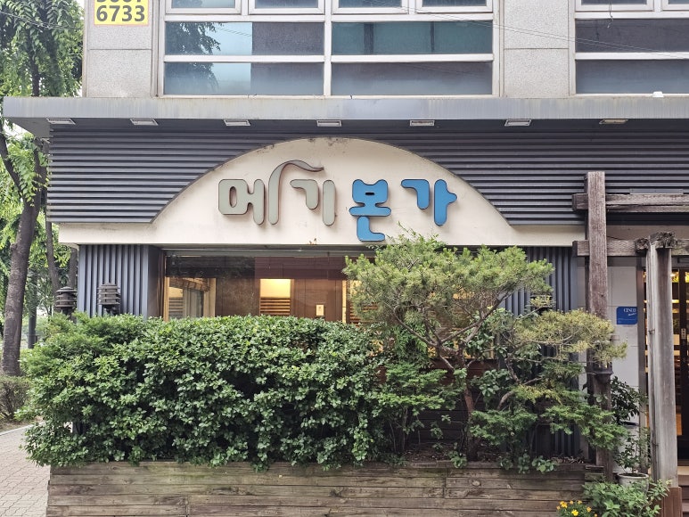 메기본가 이미지
