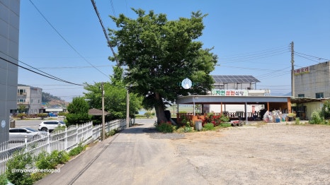 자연쌈밥식당 이미지