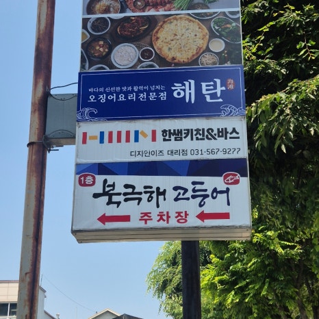 북극해고등어구리토평점 이미지