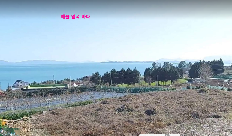 고흥수산주 이미지