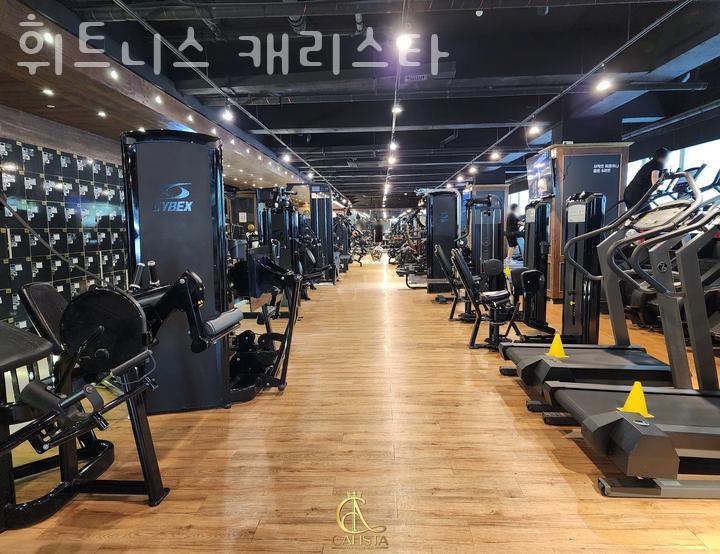 캐리피트니스 이미지