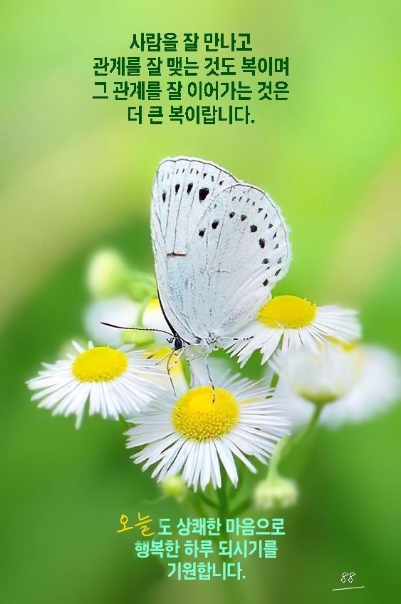 씨앗사랑 이미지