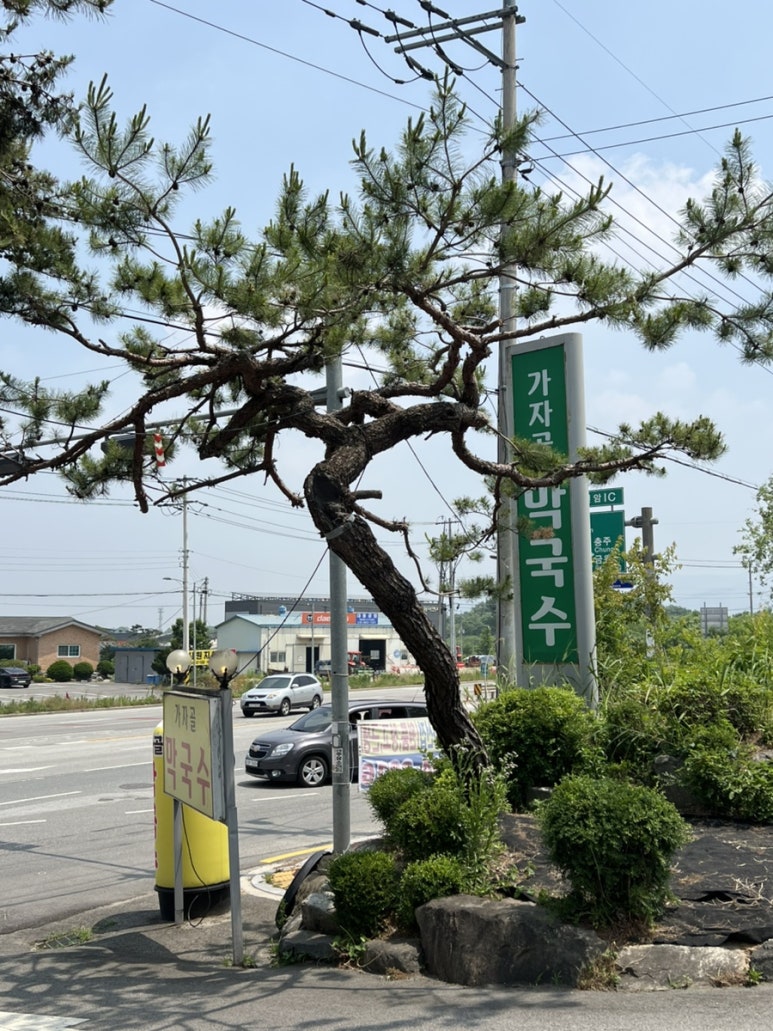 가자골식당 이미지