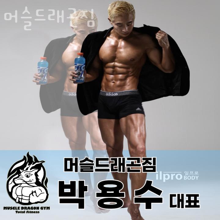 드래곤짐 이미지