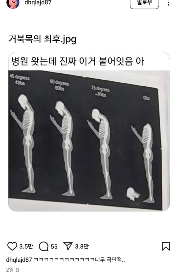 타코IN카페 이미지