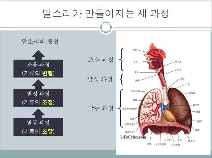 액팅코드연기학원 이미지