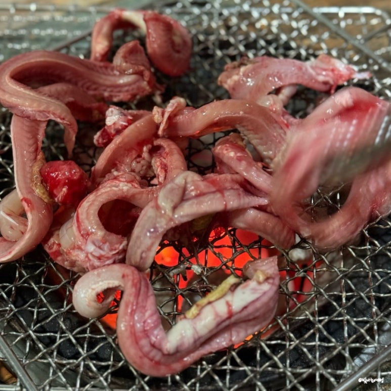원조산호곰장어 이미지