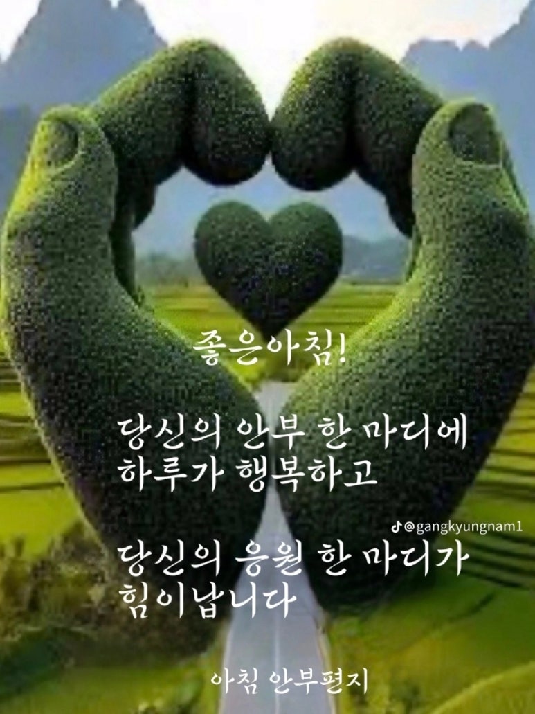 수지상사 이미지