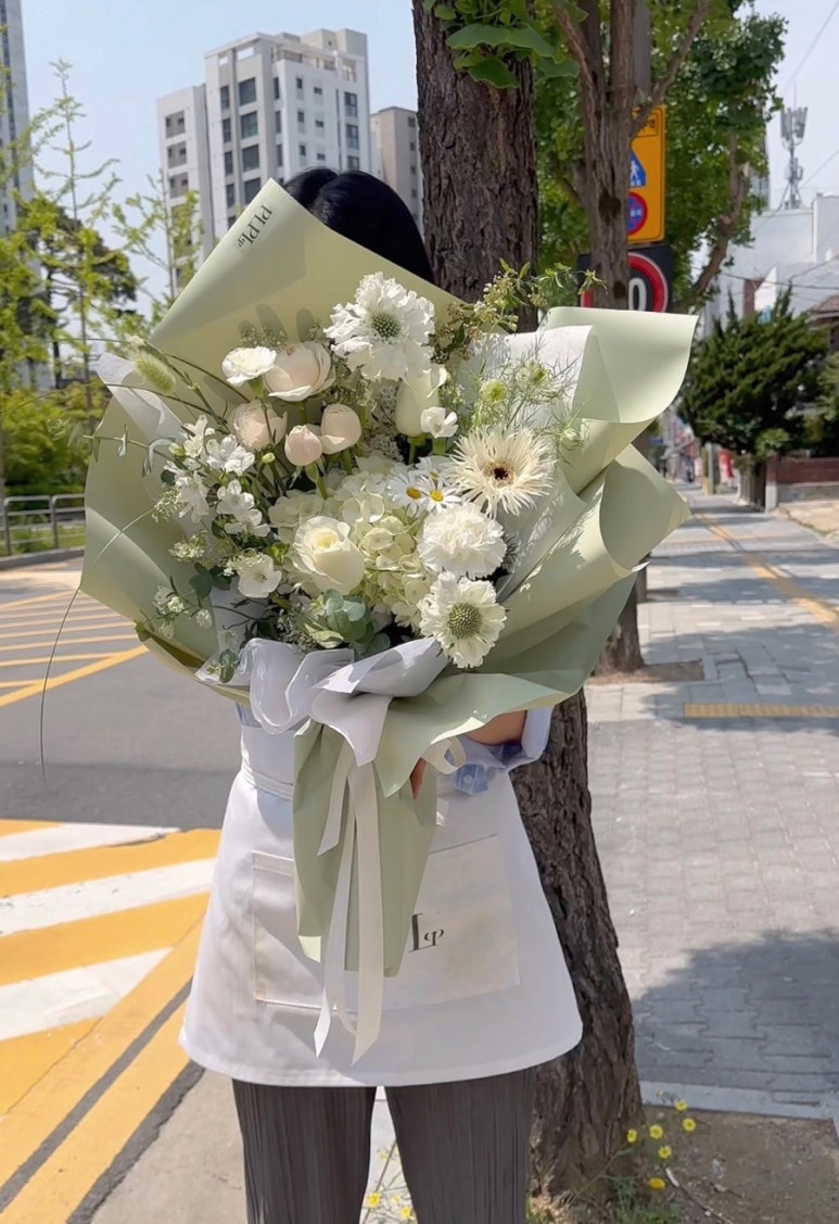 피엘피 이미지