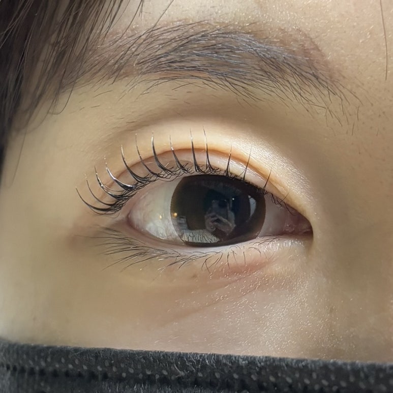 하엘리 이미지