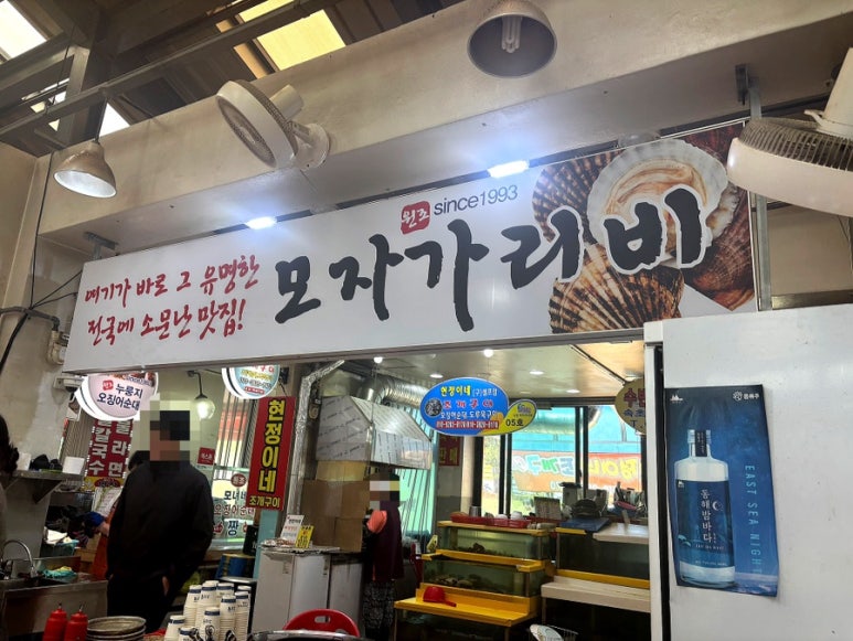 모자가리비 이미지