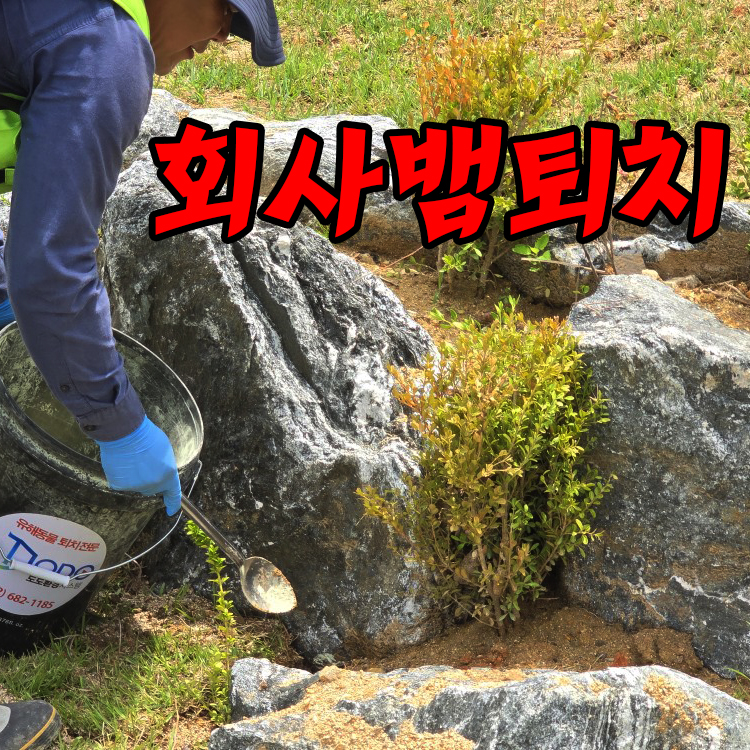 도도환경시스템 이미지
