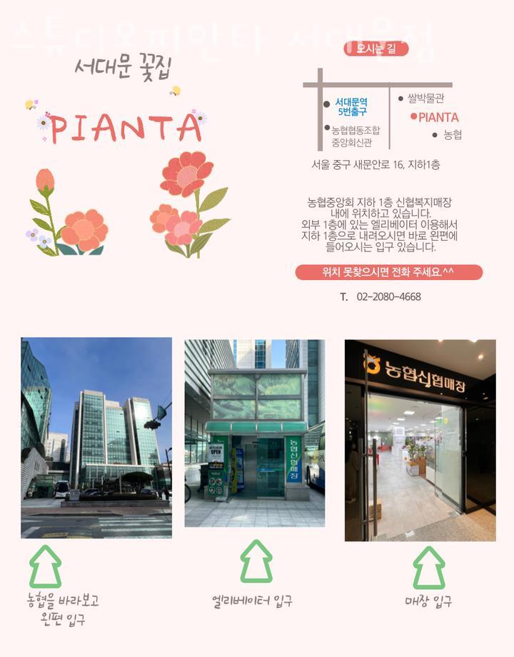 스튜디오피안타 이미지