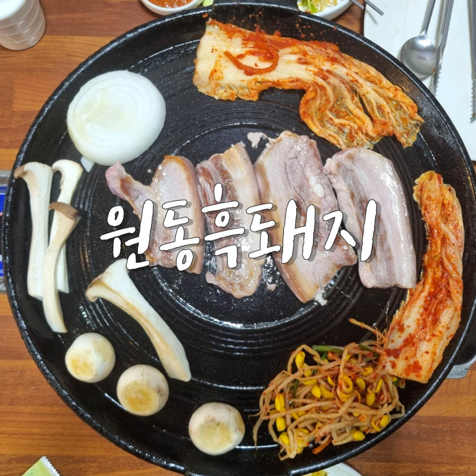 원동흑돼지 이미지