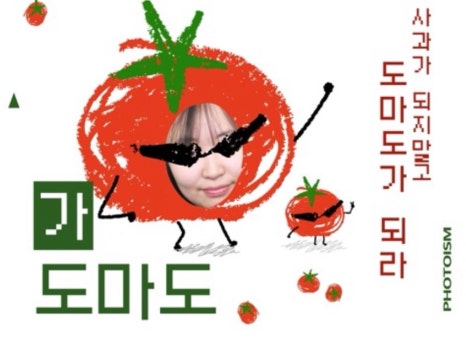 도마도마도 이미지