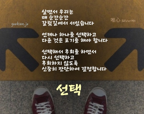 소중한선택 이미지
