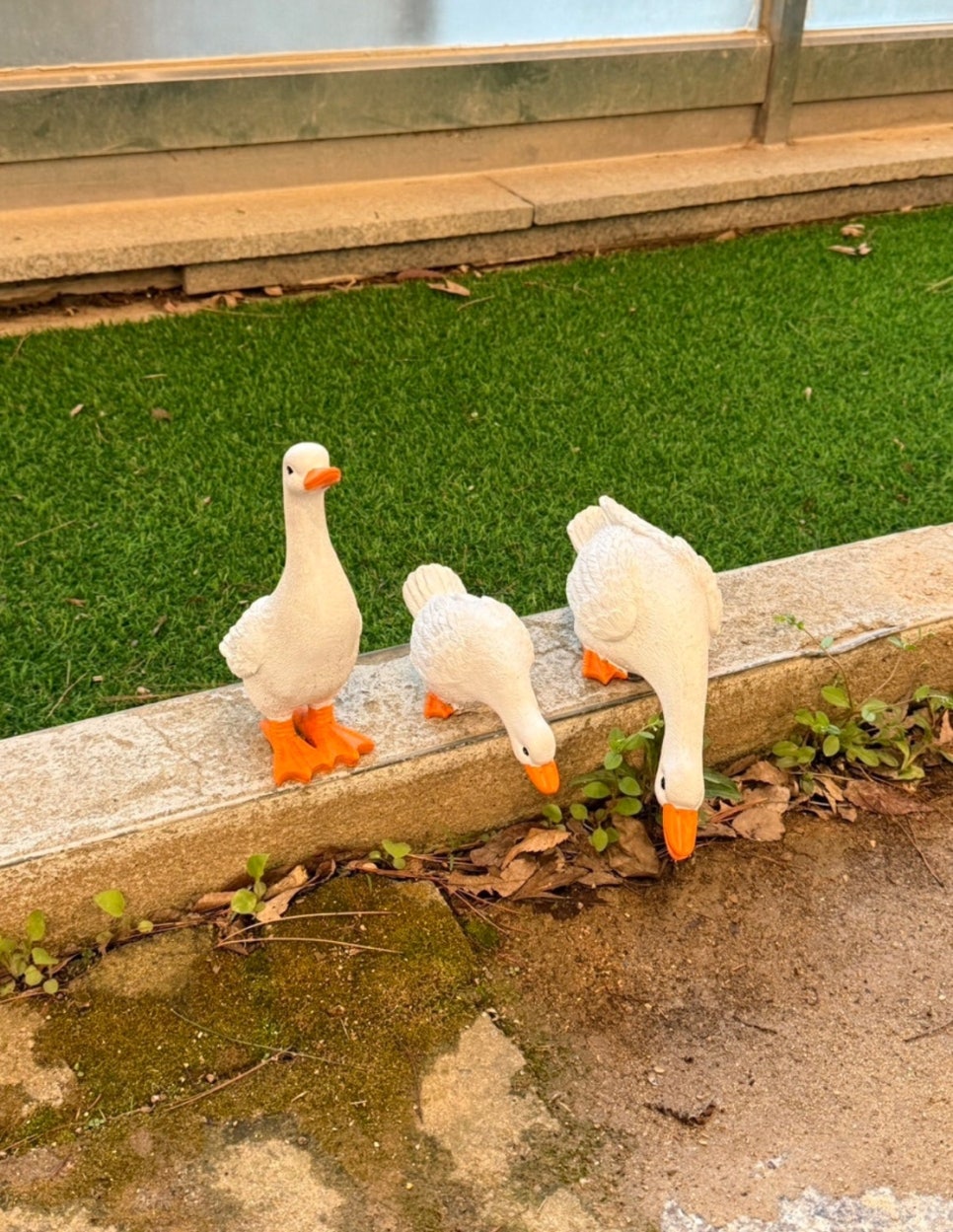 오리의 꿈 이미지