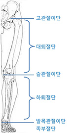 한국의지보조기학회 이미지