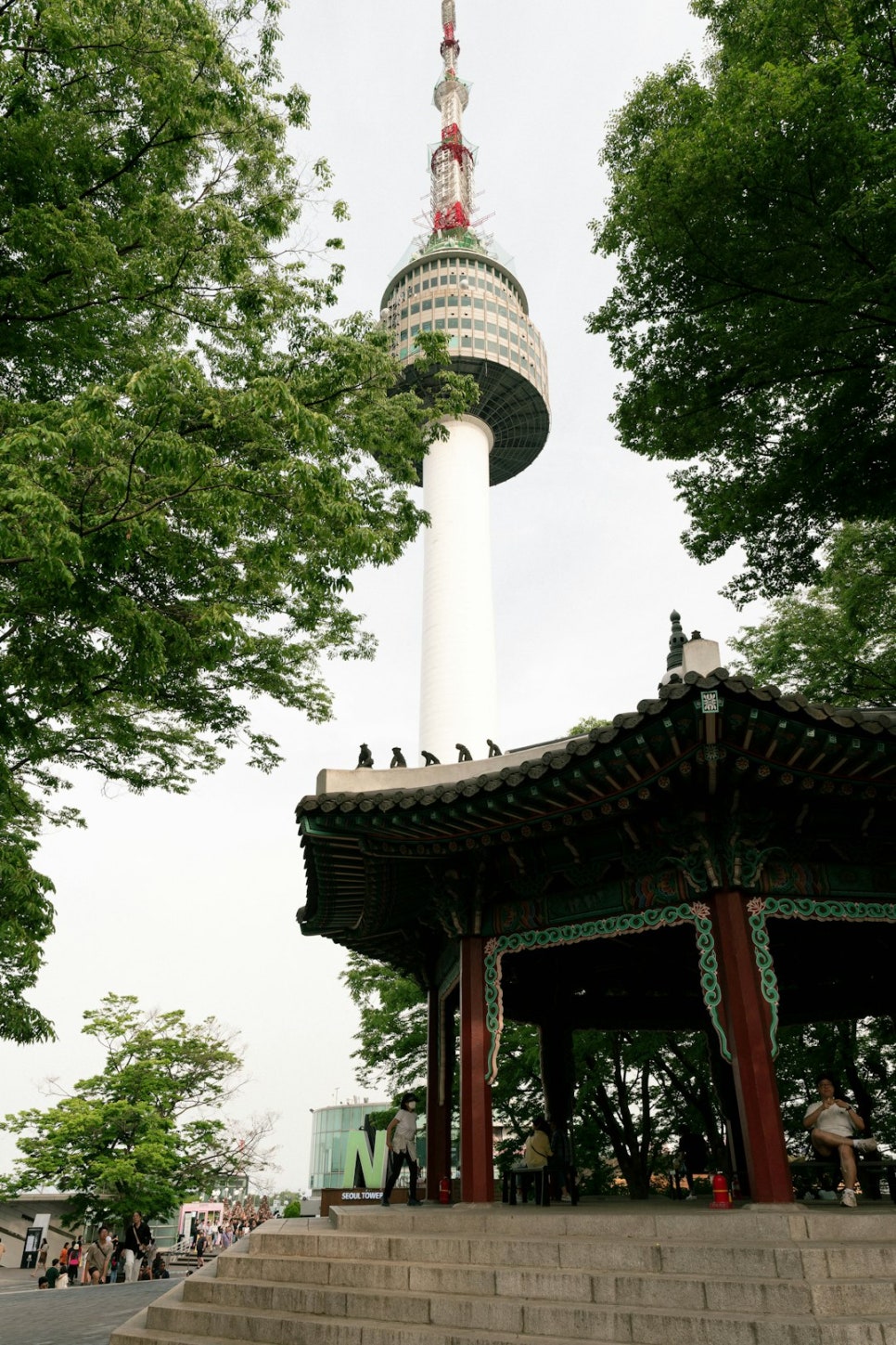 원주자연식품 이미지