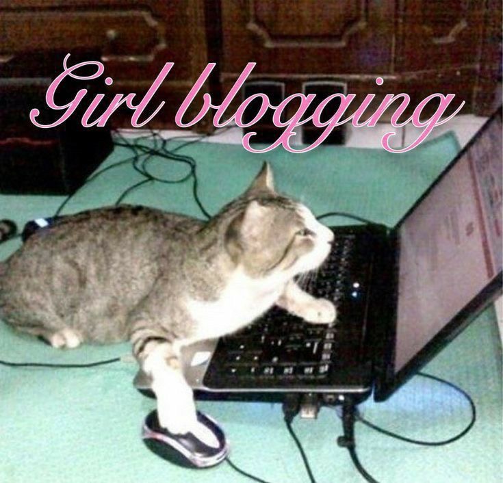 여행가다 이미지