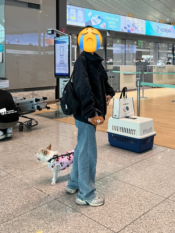 빵꾸네놀이터 이미지