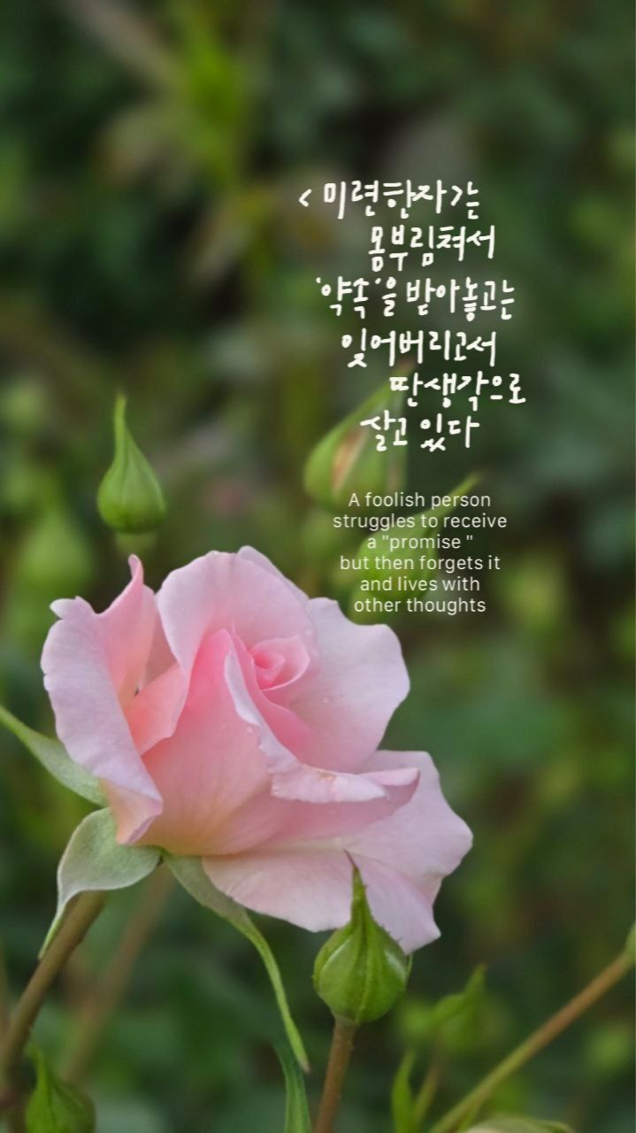하늘사랑 이미지