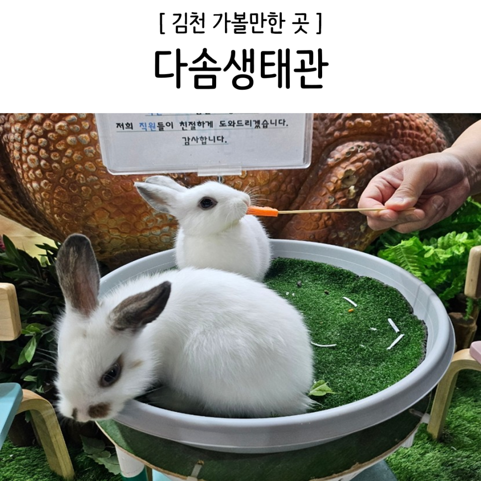 다솜생태관 이미지