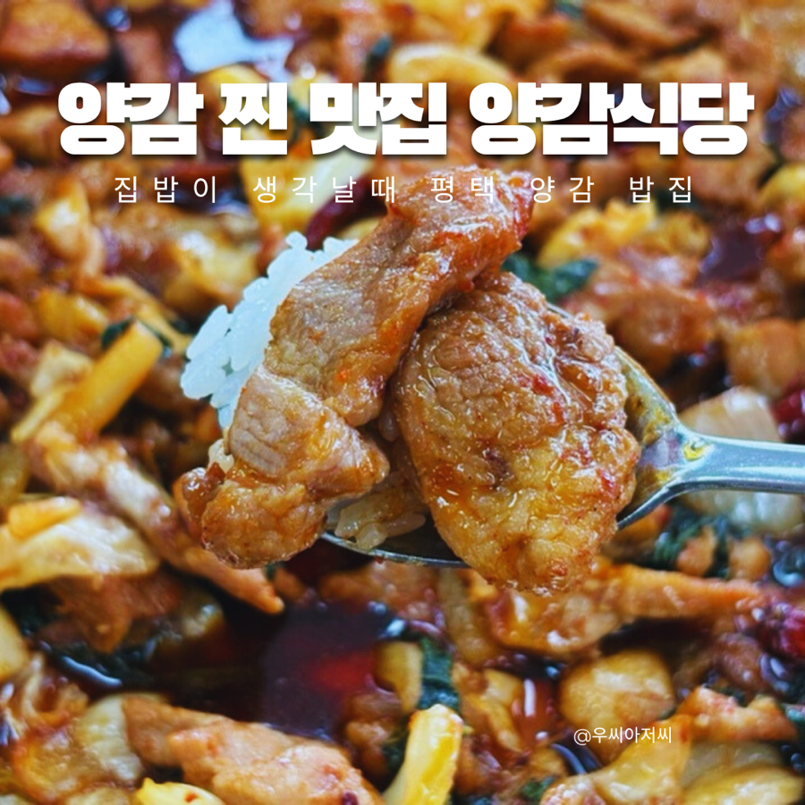 양감식당 이미지
