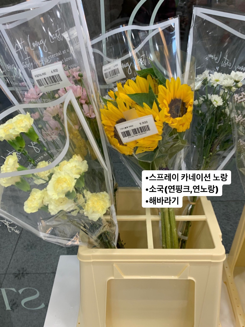 그로브블룸 이미지