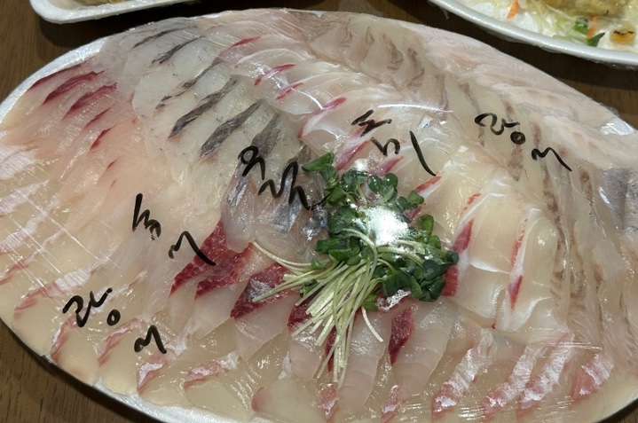 바다에서온거북이꼬따오 이미지