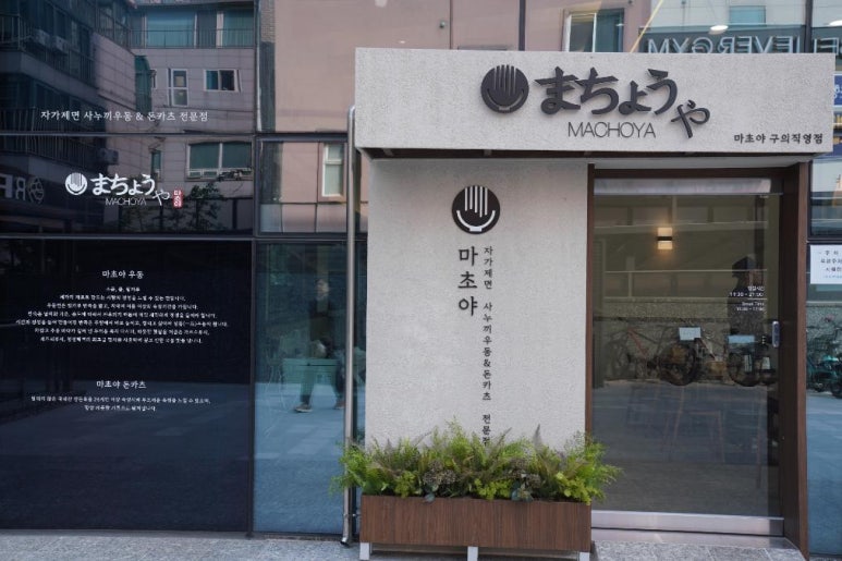 마초야 이미지