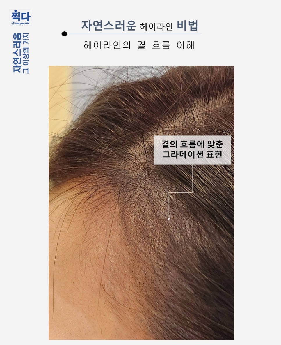 대한두피디자인협회 이미지