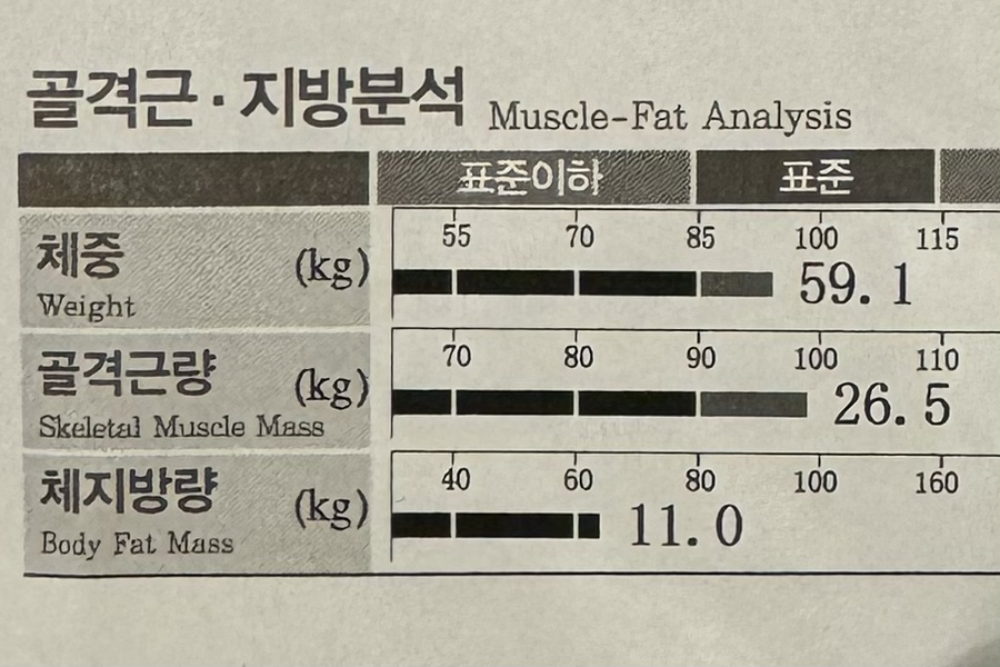 프롬 미트 이미지