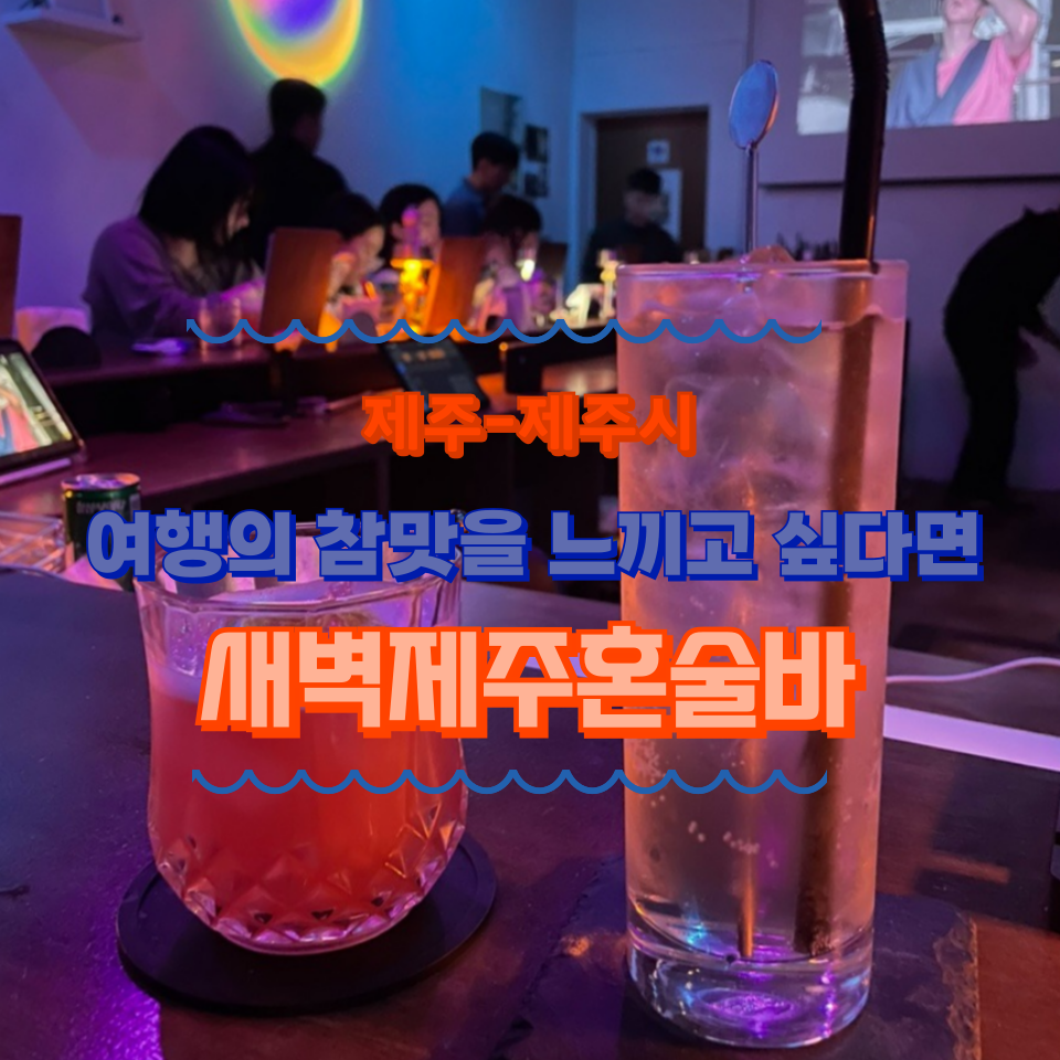 새벽제주혼술바 이미지