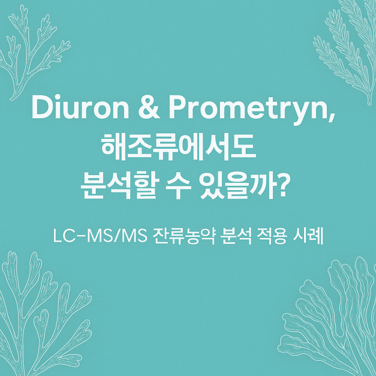 메트린 이미지